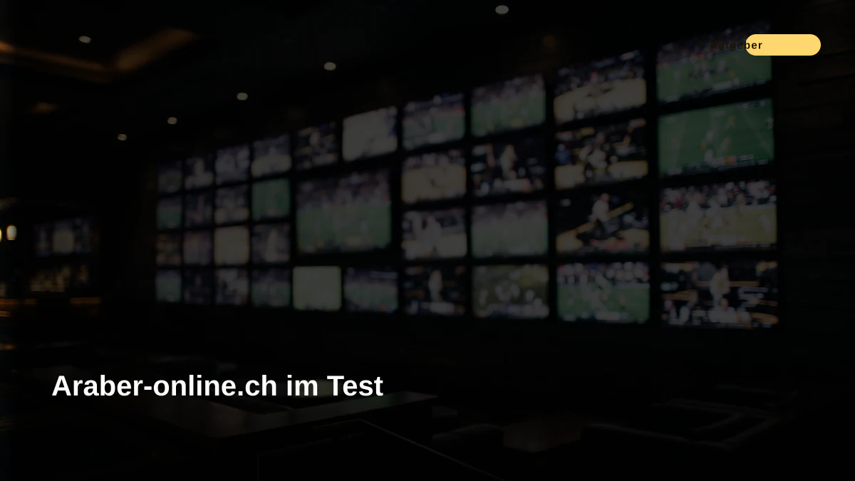 Araber-online.ch im Test