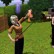 Screenshot 25