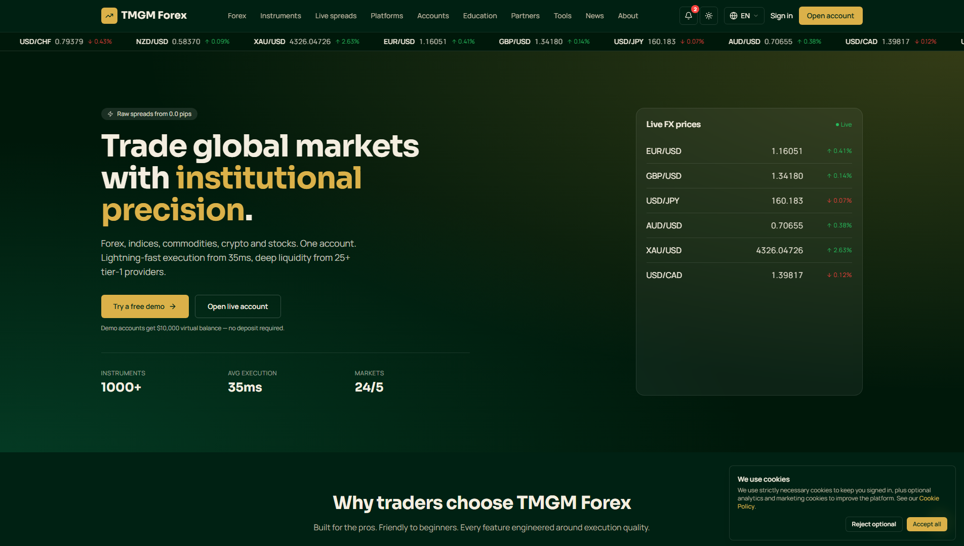 Stored capture of tmgmforex.xyz