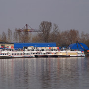 DSC03636