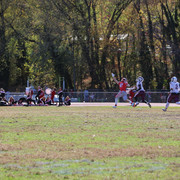 IMG-0869