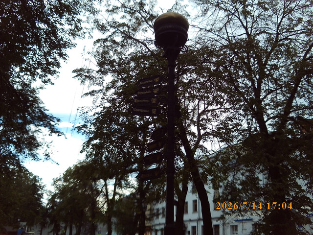 460.jpg