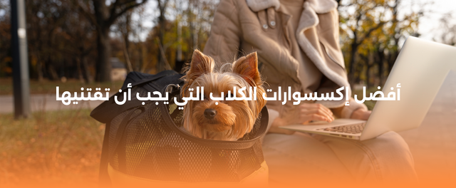 أفضل إكسسوارات الكلاب