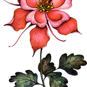 P 109