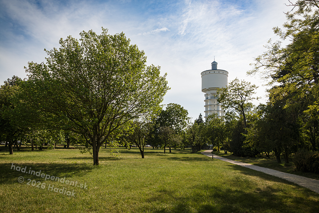 IMG 4521