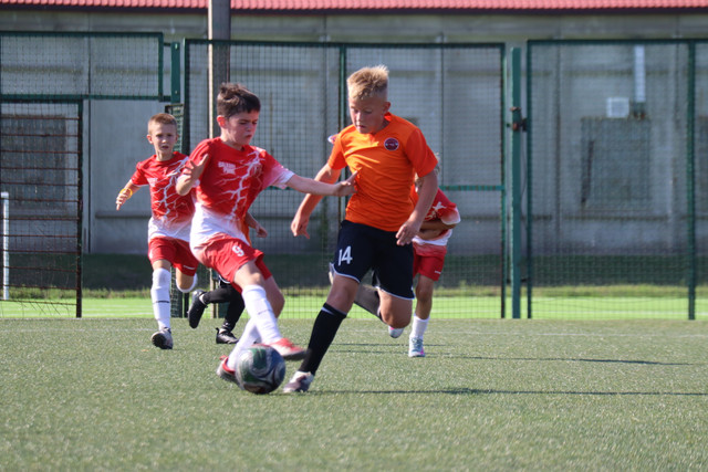 IMG-0381