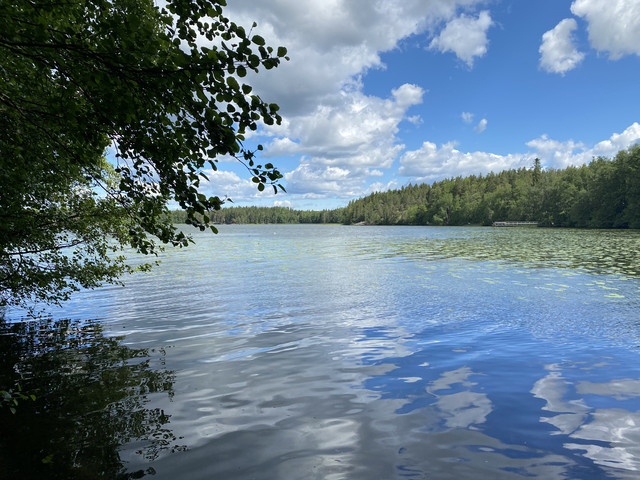 5-E80-C81-A-0099-4277-9300-4-F436-D1577-