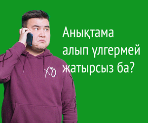3licam.gif