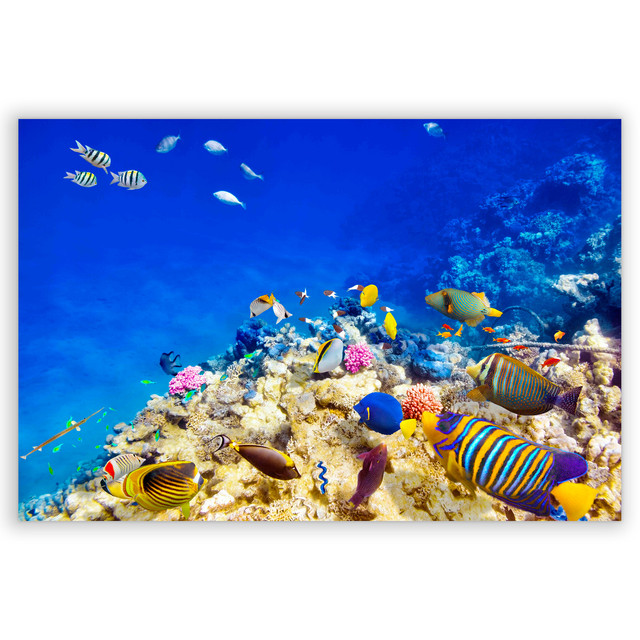 701525-Fundo-do-Mar