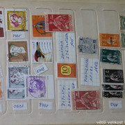 IMG-3628