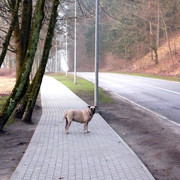 P1050409