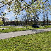 IMG-8530