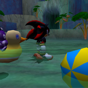 Ninja-on-ducky