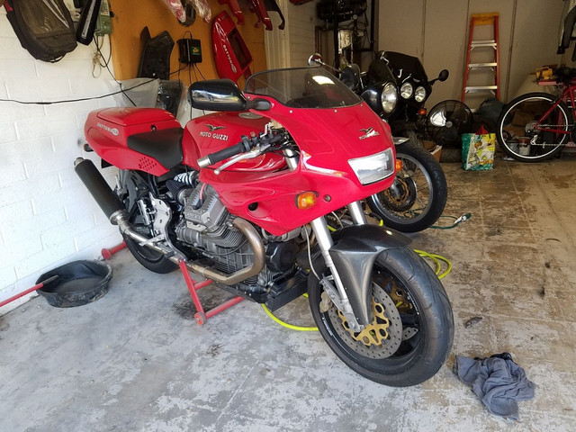 daytona