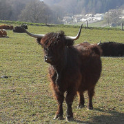 IMG-20200328-152615