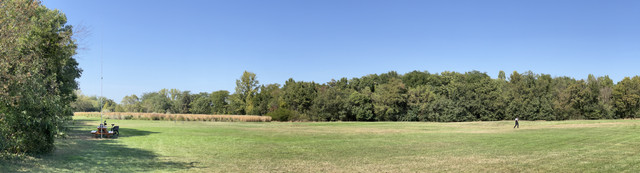 IMG-1669.jpg