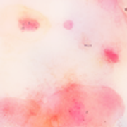 05-6