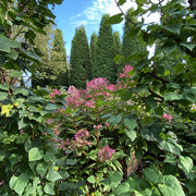 IMG-0660