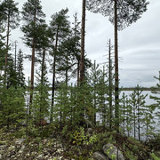 IMG 5238