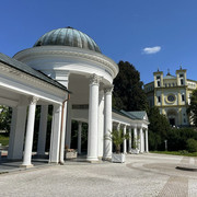 comp IMG 7181