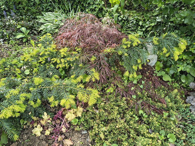 garden8.jpg