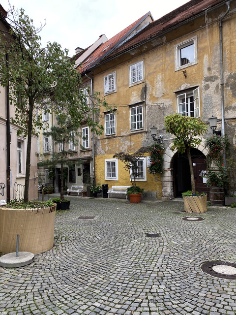 IMG-2756