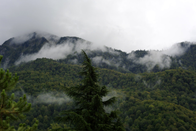 DSC7019.jpg