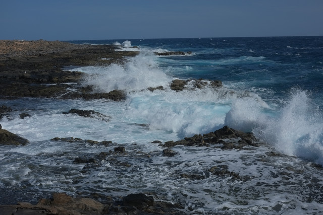 DSCF8201