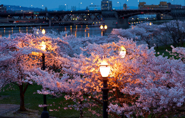 spring-045