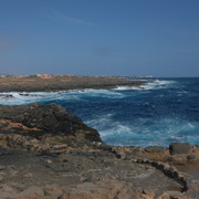 DSCF8175
