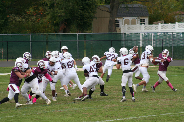IMG-0595.jpg