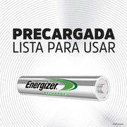 PIENERECAA4-2