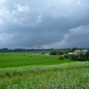 2021-07-16-080