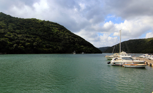 IMG-9552.jpg