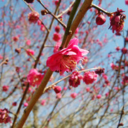 IMG-20230228-131908
