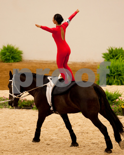 EQUINE VOLTIS76ii
