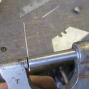 IMG-8547