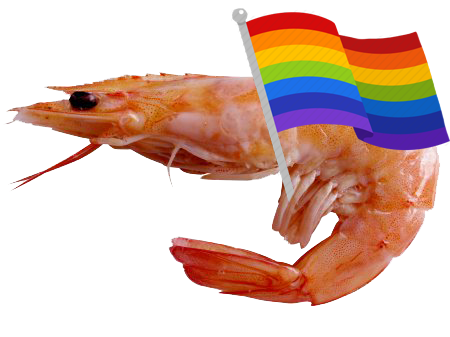 gayprawn.png