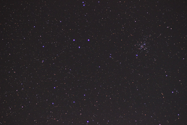 1c00161-41-m