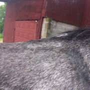 IMG-1713