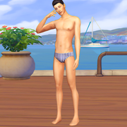 IRVIN4