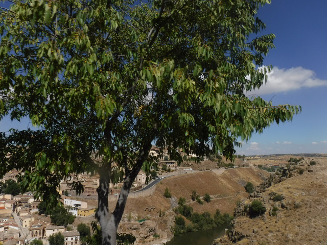 DSCF6351.jpg