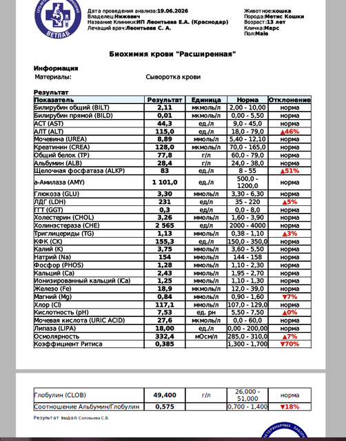 биохимия 19 06 26