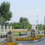 DSC5492