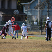 IMG-8231