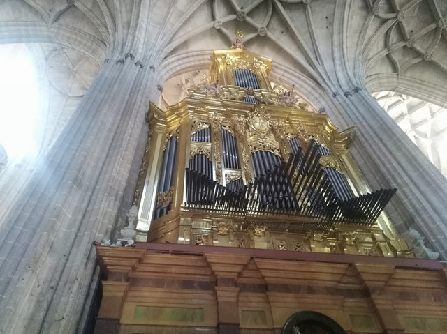 Dia 4. Segovia. Lunes 11 octubre - Escapada castellana 2021 (23)