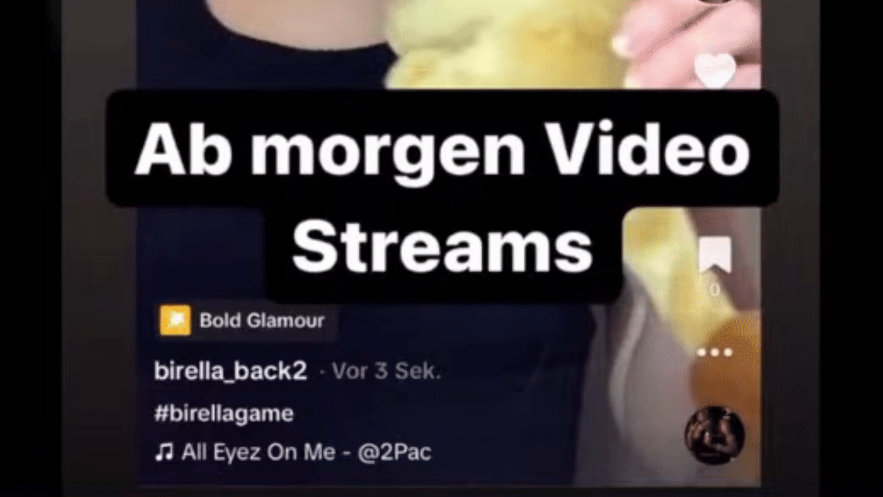 Birella-Kontrollblick.gif
