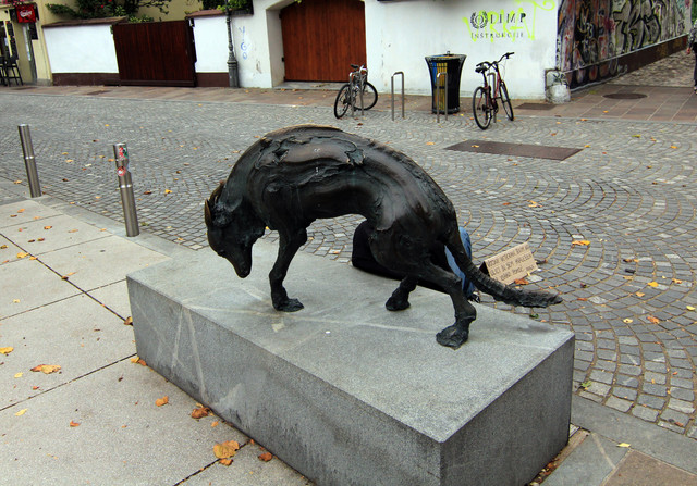 IMG-9994.jpg