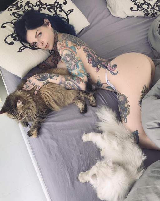 do-you-like-cats