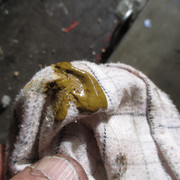 IMG-3943